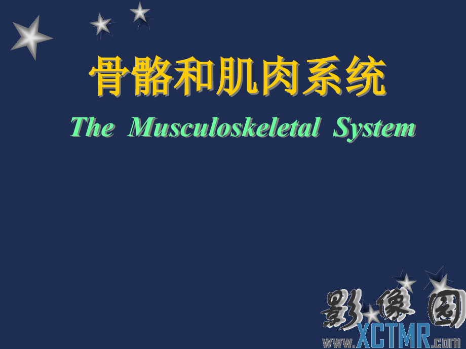 骨骼和肌肉系统影像学诊断_第1页