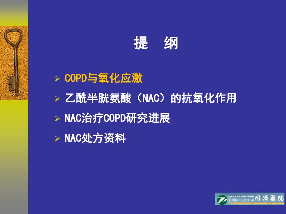 抗氧化在慢阻肺临床治疗中的重要性_第4页