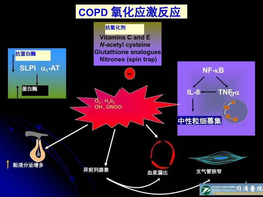 抗氧化在慢阻肺临床治疗中的重要性_第5页