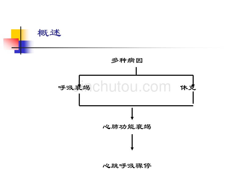 儿科高级生命支持祝益民_第2页