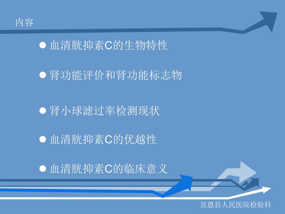 血清胱抑素C的临床意义_第2页