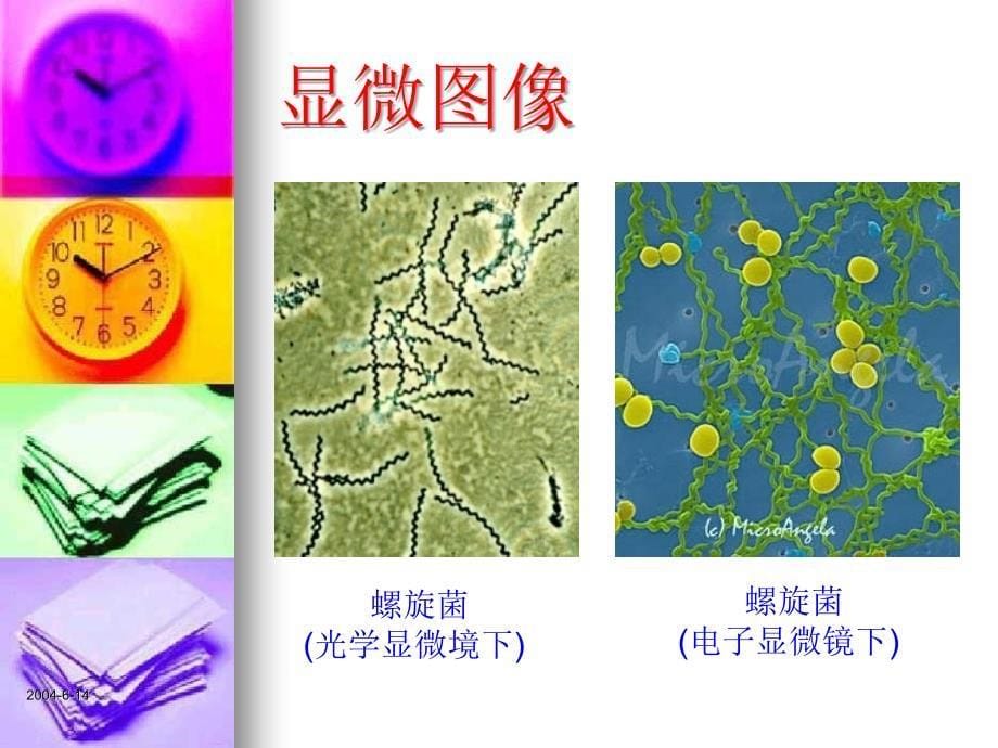 二十八显微成像_第5页