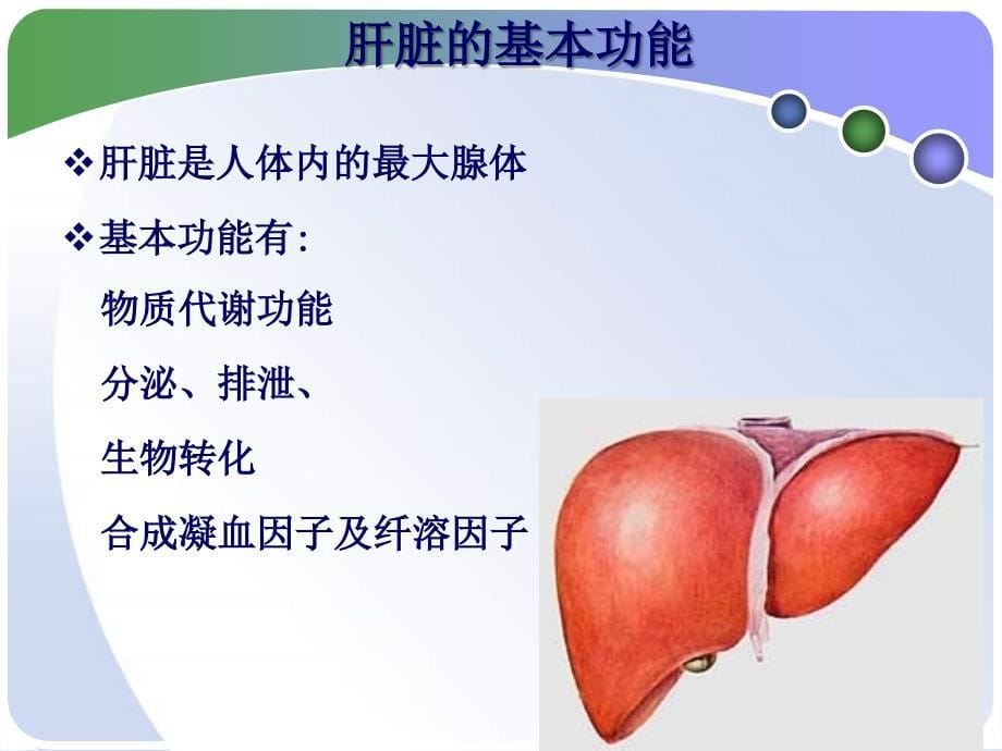 肝脏病常用实验室检查_第5页