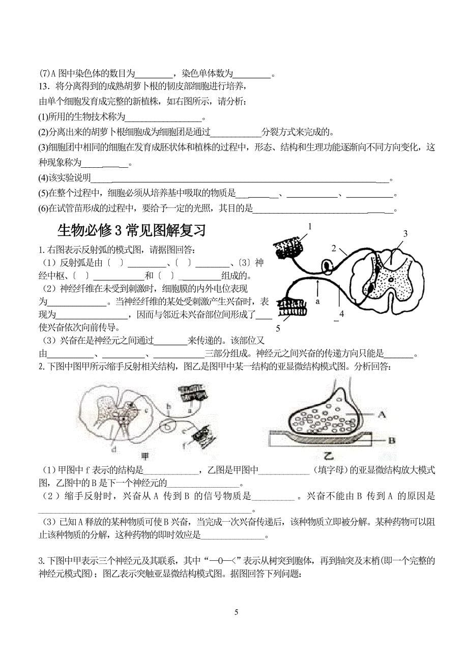 高二生物(上)图解复习_第5页