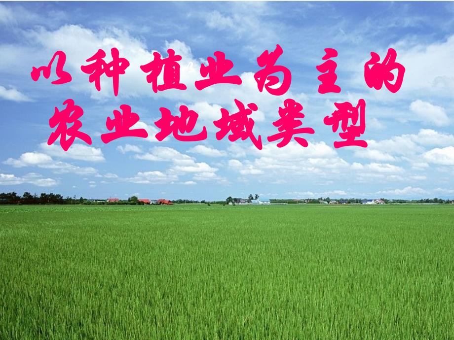 水稻种植业ppt课件_第1页