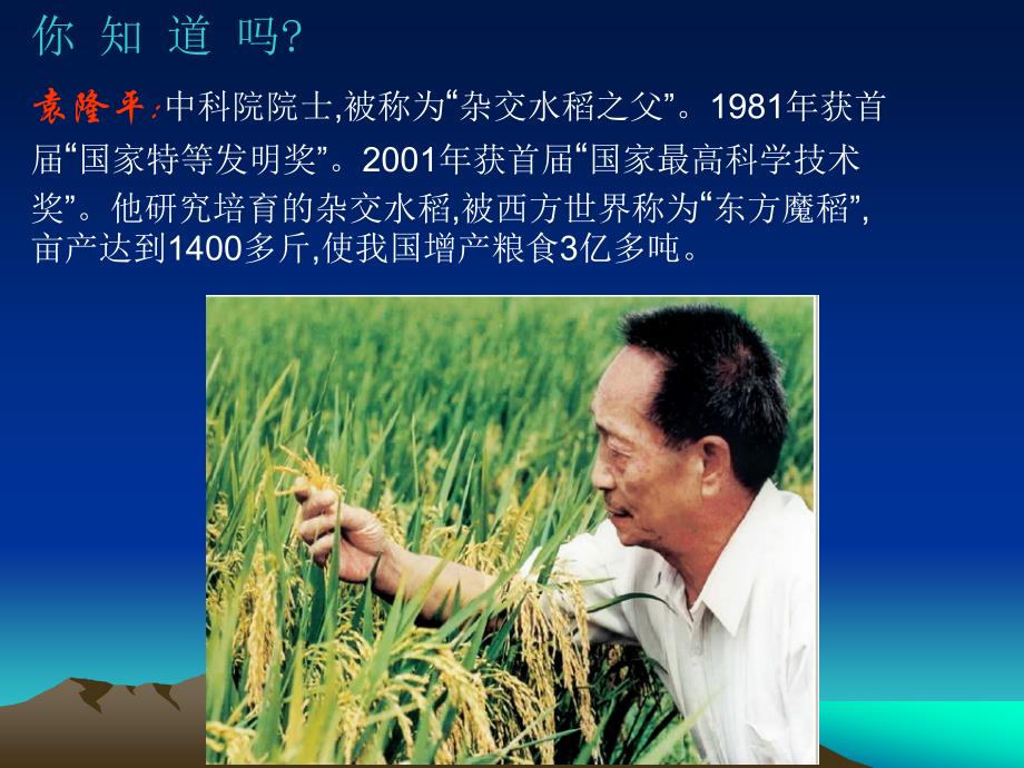 水稻种植业ppt课件_第3页