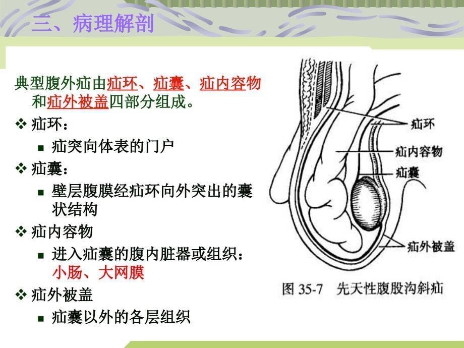 腹外疝病人的护理__第5页