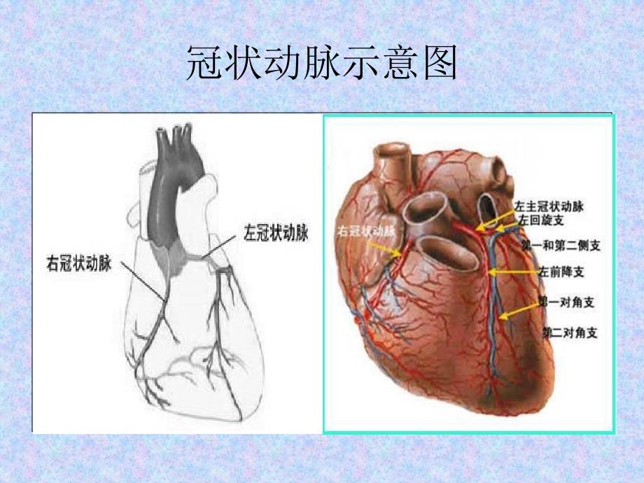 经皮冠状动脉介入治疗的手术流程和器材选择_第2页