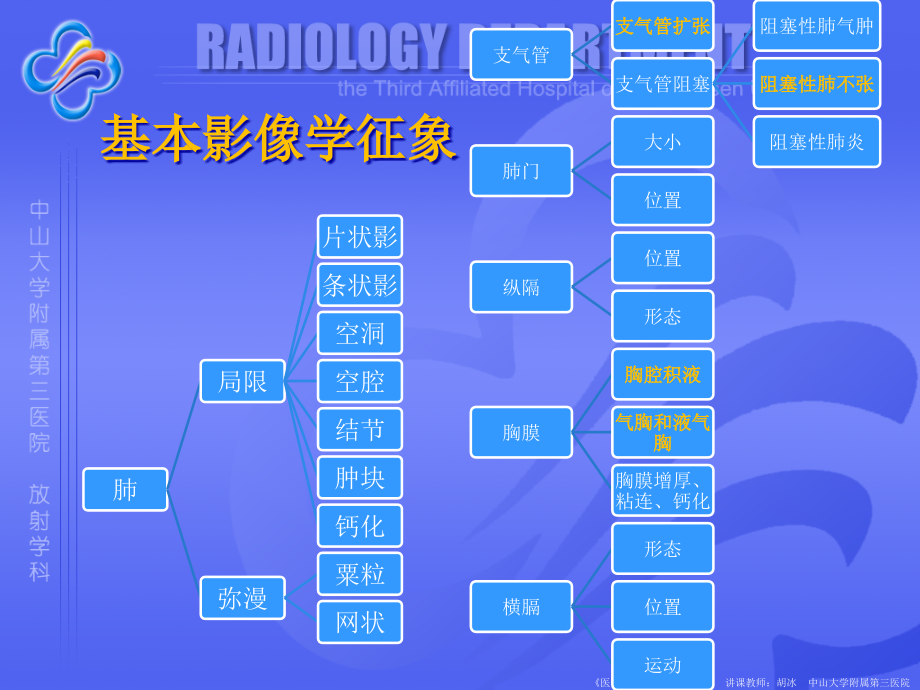 肺炎脓肿支扩TB-医学影像学_第3页