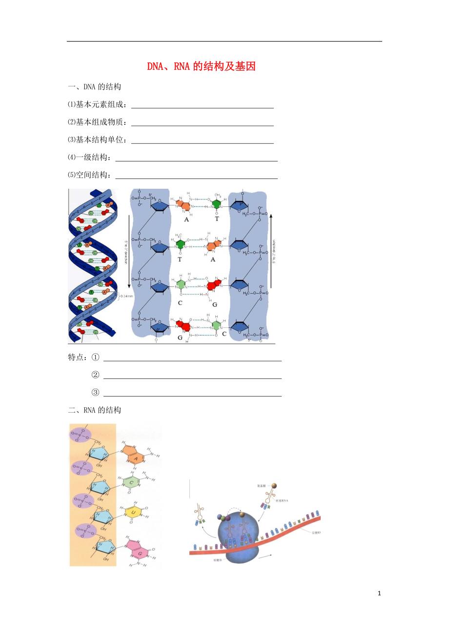 北京市第四中学2017届高考生物专题复习2dnarna的结构和基因学案20170817159_第1页