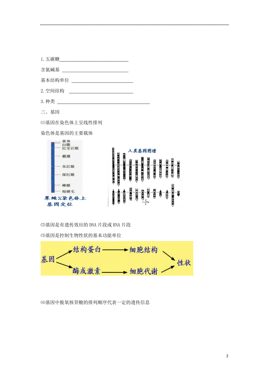 北京市第四中学2017届高考生物专题复习2dnarna的结构和基因学案20170817159_第2页