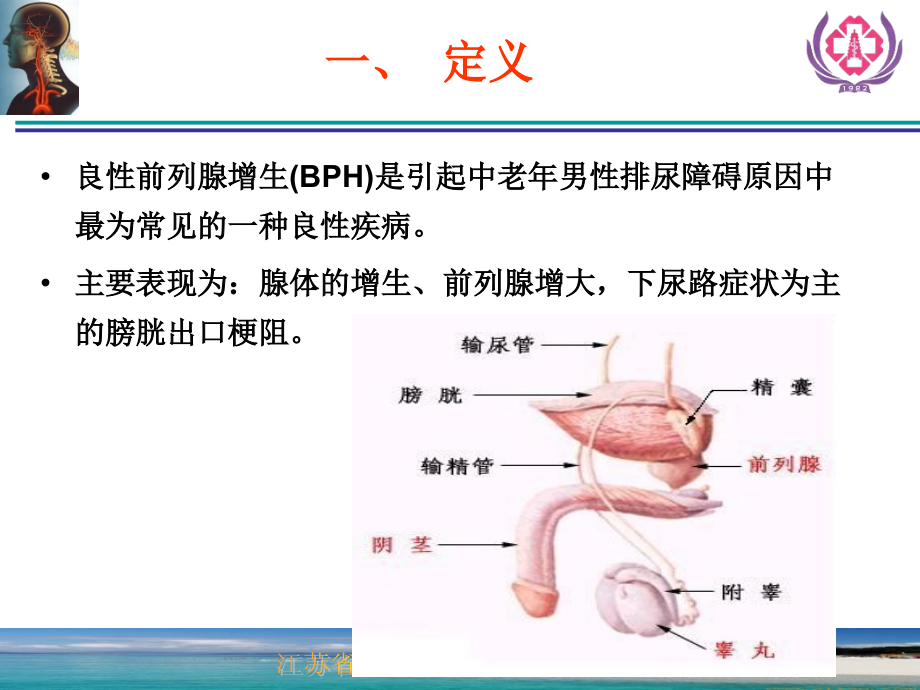 前列腺增生症的诊断治疗_第2页