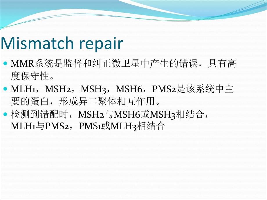 MSI微卫星不稳定性_第3页