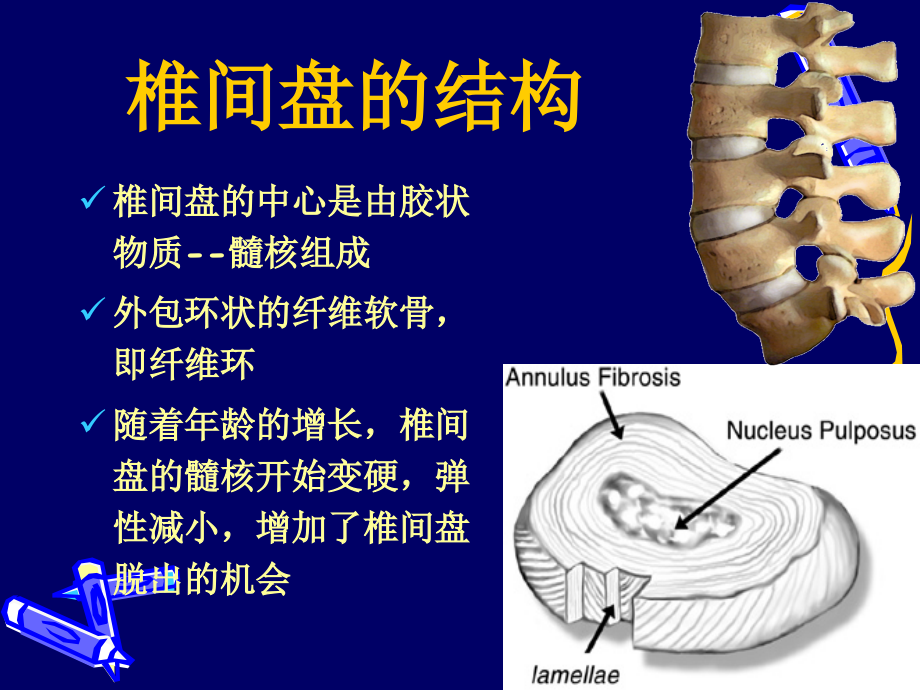 病症康复学-第20章 腰椎间盘突出症_第3页