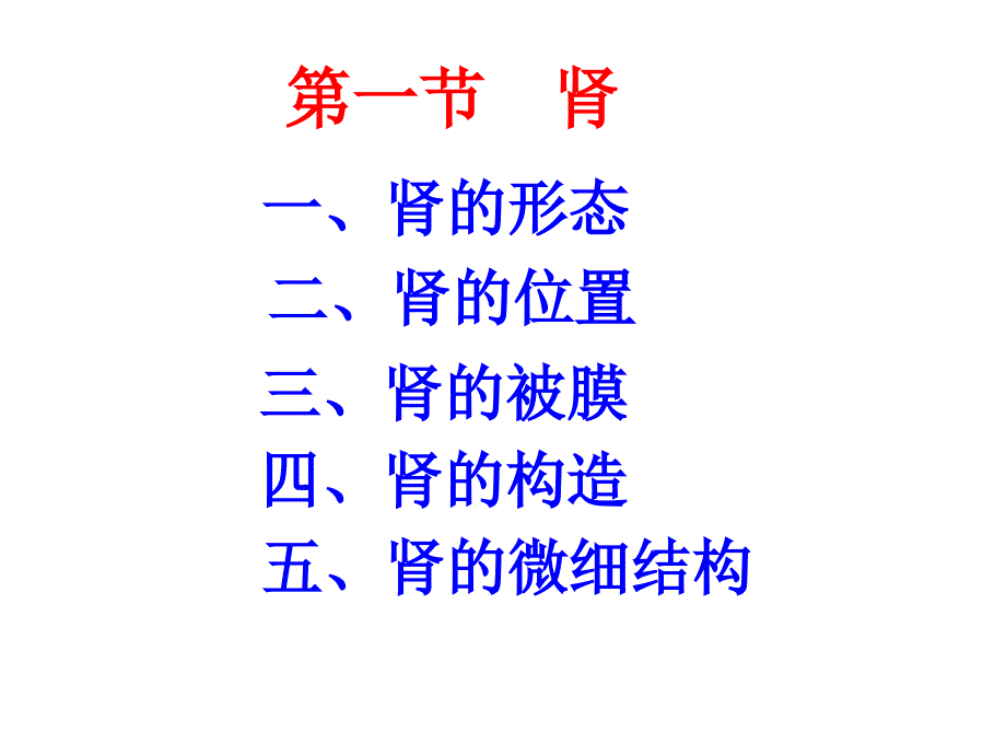 人体解剖学泌尿系统_第4页