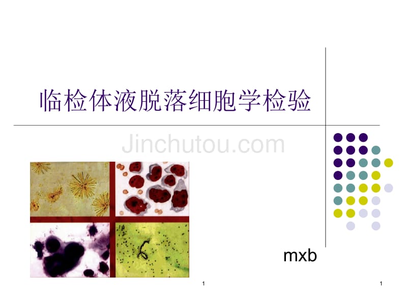 胸腹水脱落细胞学检验_第1页