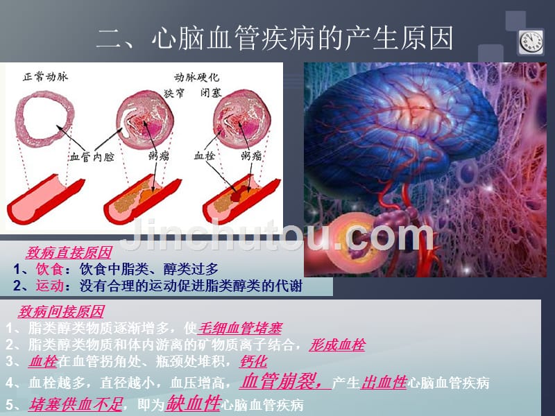 健康课程心脑血管_第5页