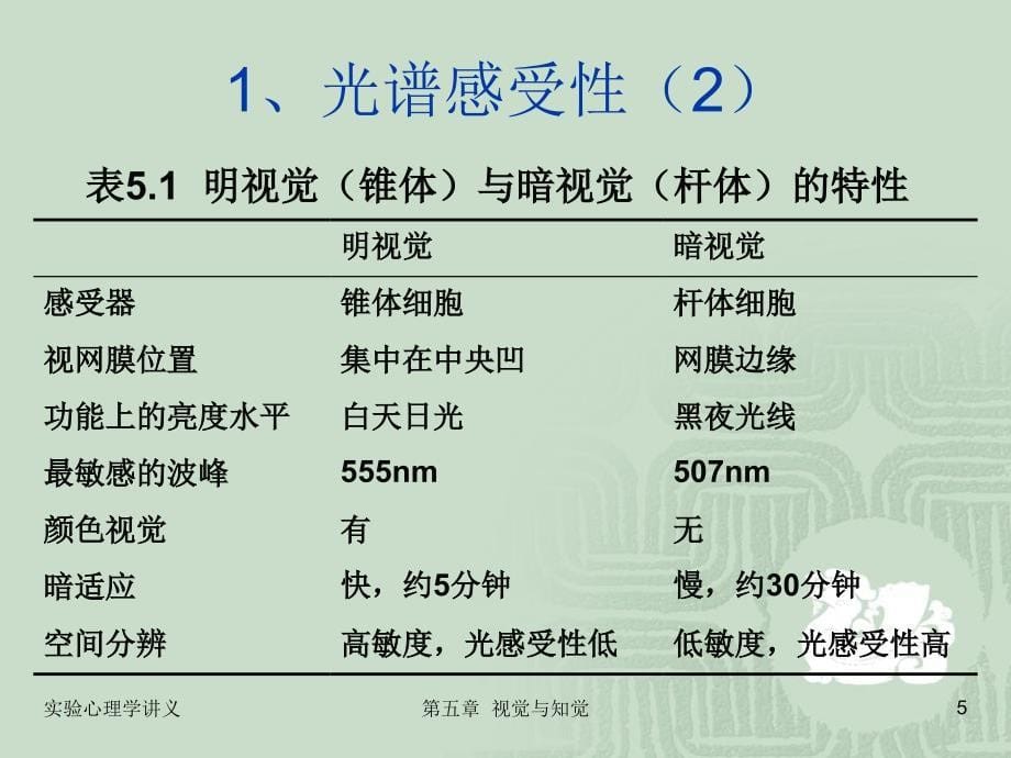 实验心理学第五章 视觉与听觉_第5页