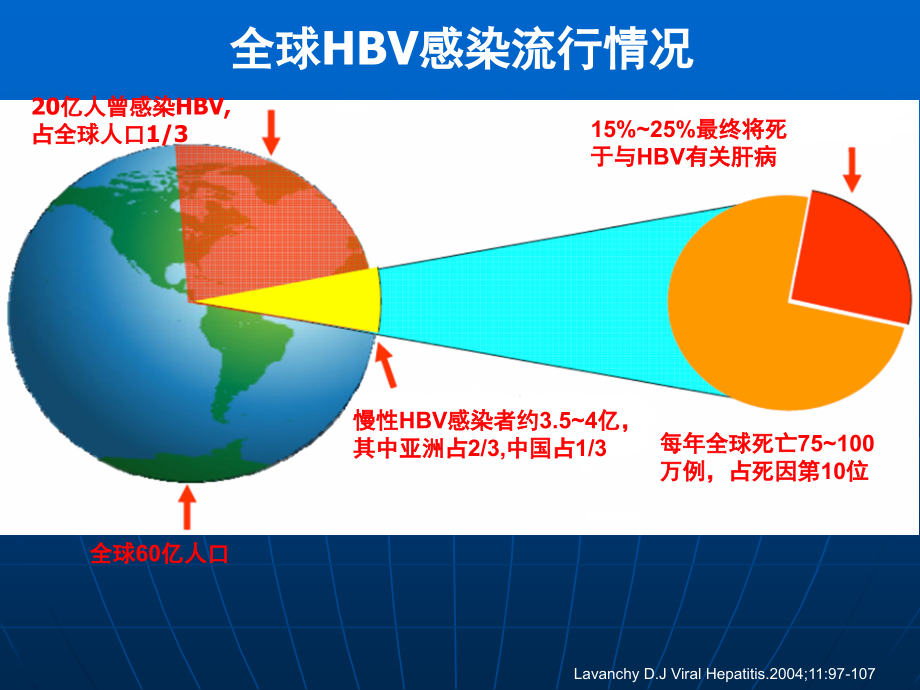 乙型肝炎医师规范化培训_第3页