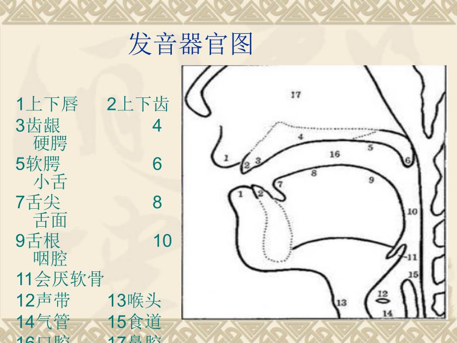 音标(元音和辅音)_第1页