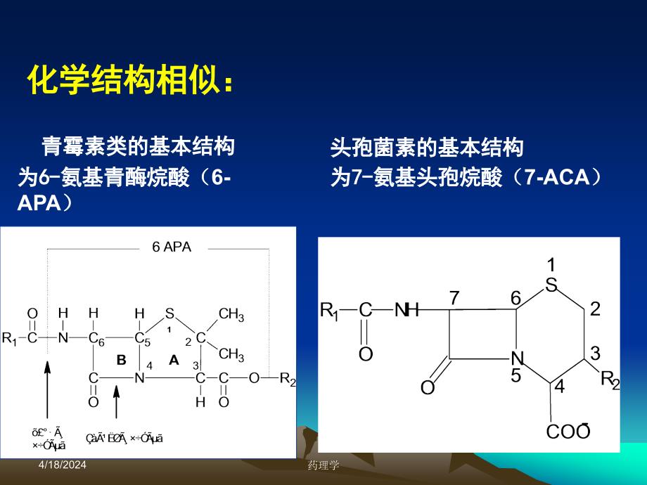 药理学课件第二十八章 β-内酰胺类抗生素_第2页