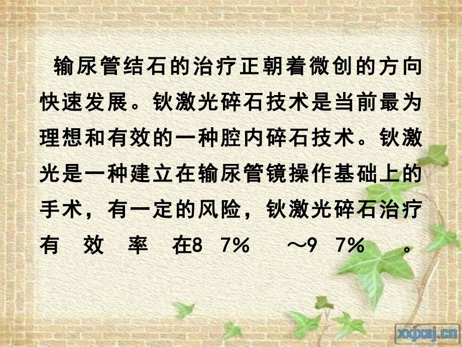 输尿管镜钬激光并发症_第2页