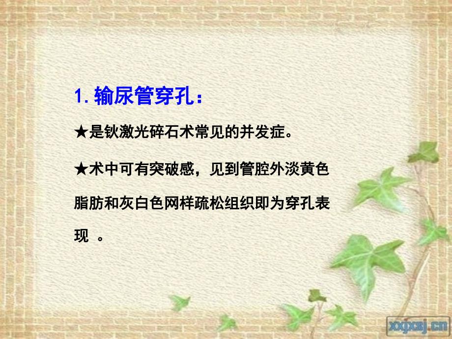 输尿管镜钬激光并发症_第4页