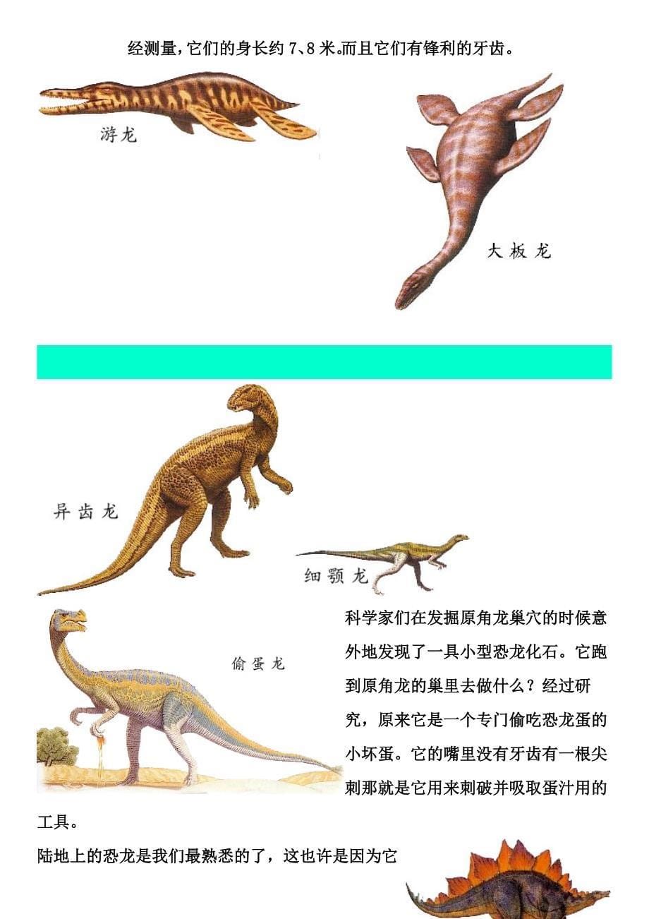 有关恐龙的资料及图片_第5页