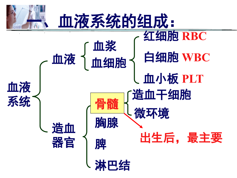 临床医学概要22贫血概述IDA巨幼贫_第3页