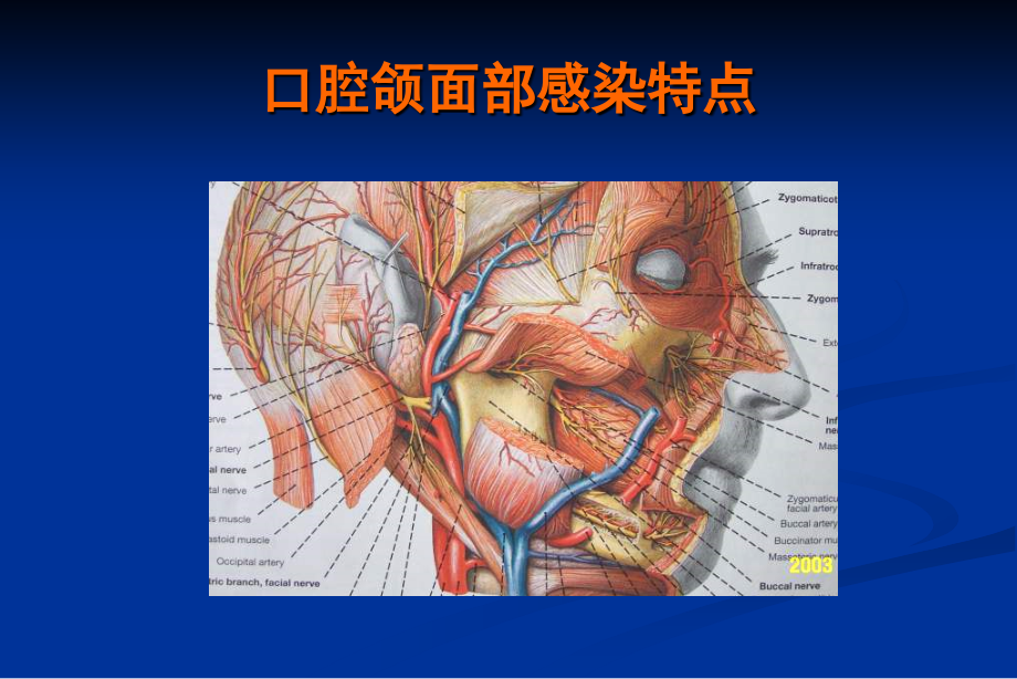 口第九章 腔颌面部感染1_第3页