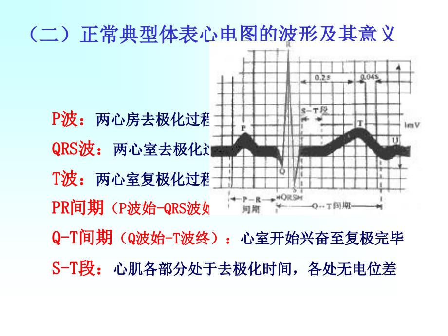 每个心动周期中,由窦房结产生的兴奋依次向心房和心室传布_第2页