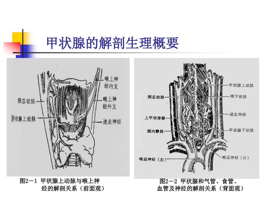 大专颈部疾病病人的护理_第4页