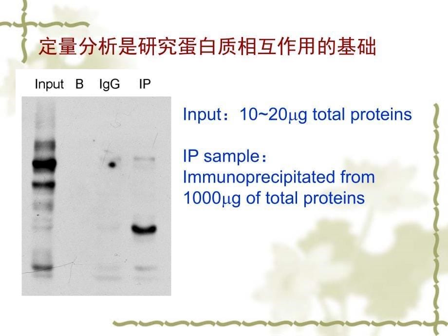 蛋白质相互作用_第5页
