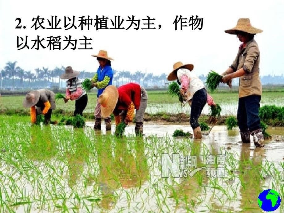 广东地理：《以种植业为主的农业地域类型》课件(新人教版必修2)_第5页