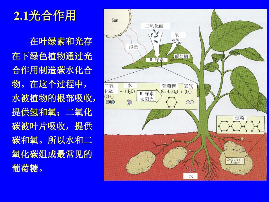 大师谈营养与健康之碳水化合物_第3页