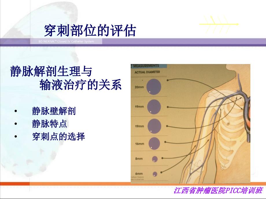 穿刺部位的评估与准备_第3页