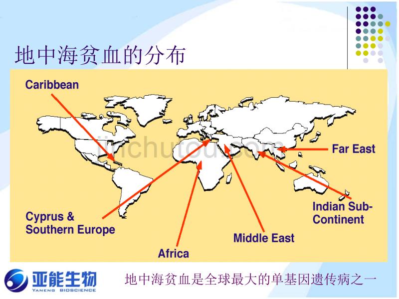 地中海贫血基因检测系统_第3页