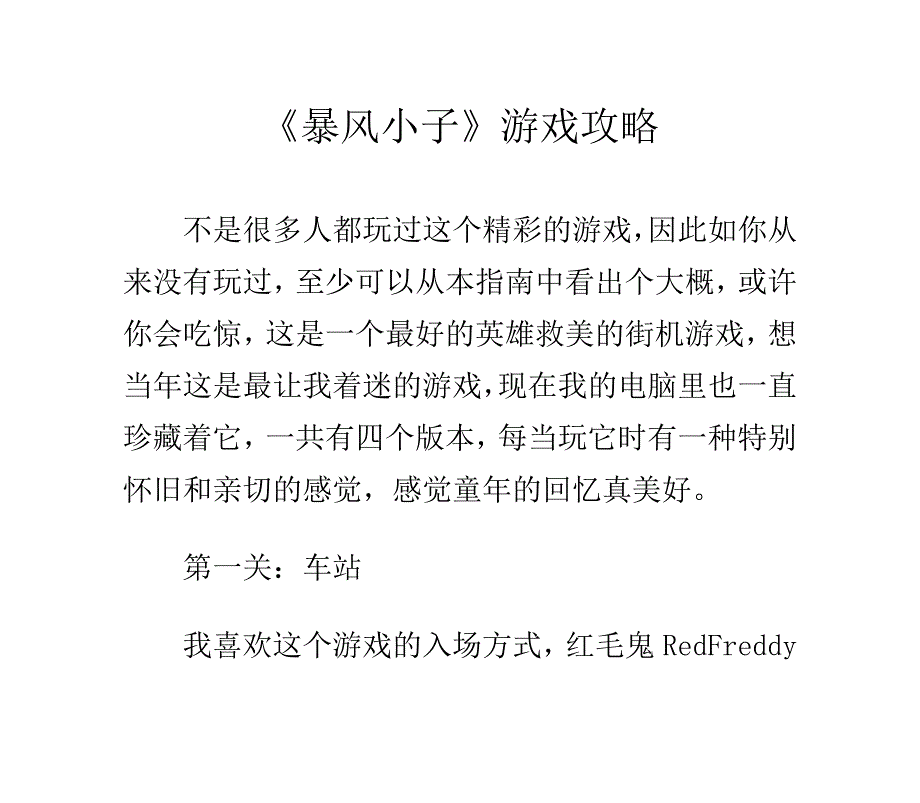 《暴风小子》游戏攻略_第1页