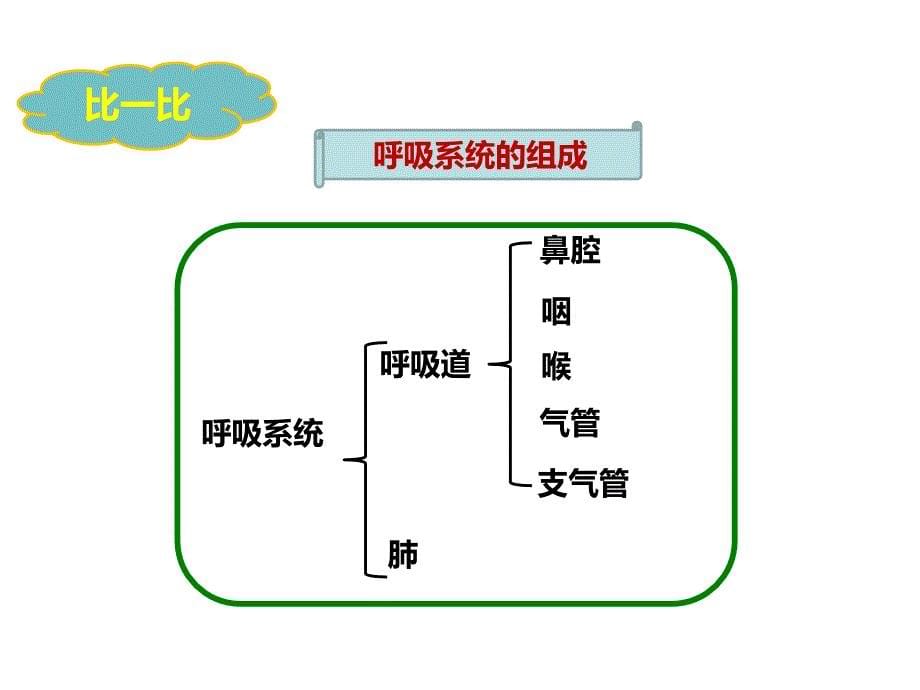 人教版七年级生物下册4.3.1《呼吸道对空气的处理》课件（25张PPT）_第5页