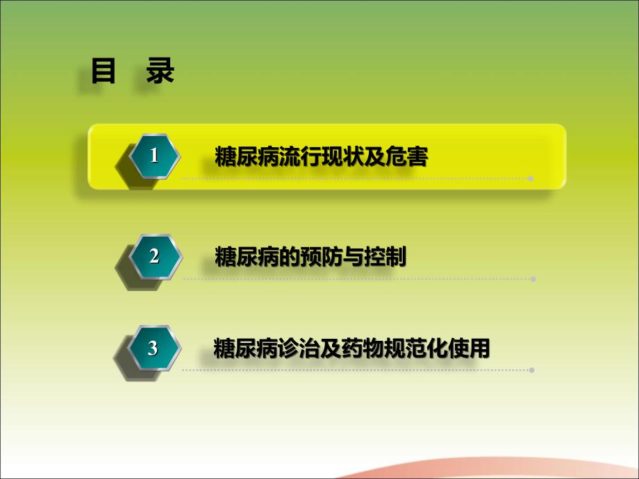 基层糖尿病预防控制健康促进项目_第4页