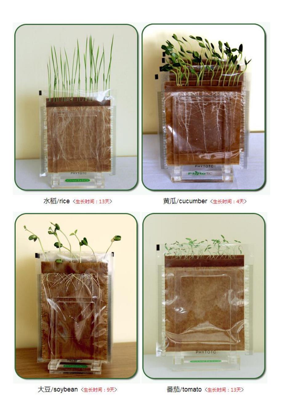 种子萌发袋简介_第4页