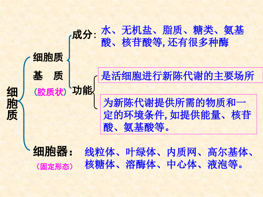 人教版高中生物必修一：3.2《细胞器-系统内的分工合作》极品课件（共3课时）_第3页