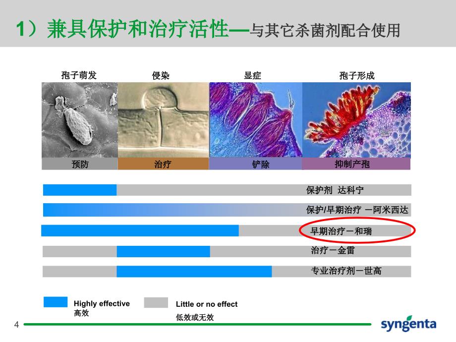 防治葡萄灰霉病特效药剂--和瑞介绍孟繁佳_第4页