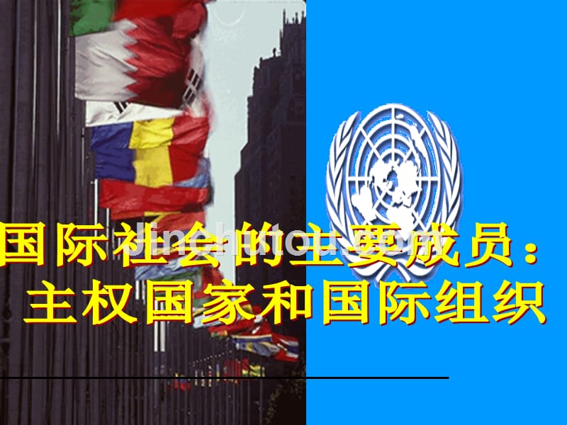 人教版高中政治必修二8.1《国际社会的主要成员：主权国家和国际组织》课件_第3页