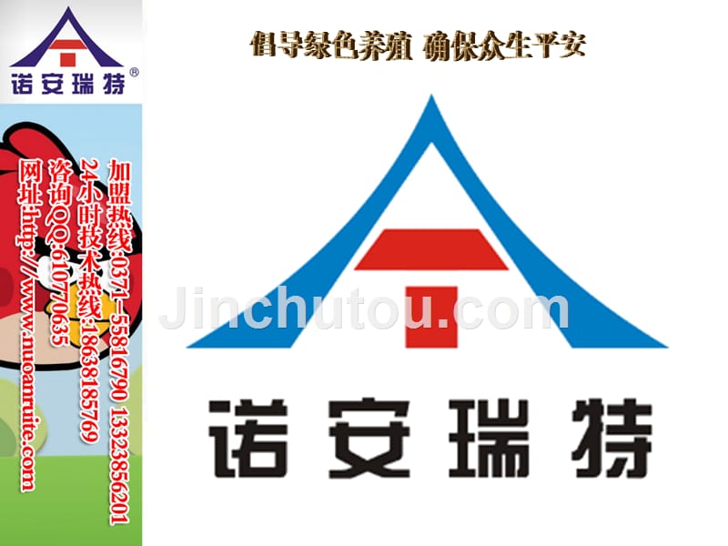 猪5号病的病症和最佳治疗方案_第1页
