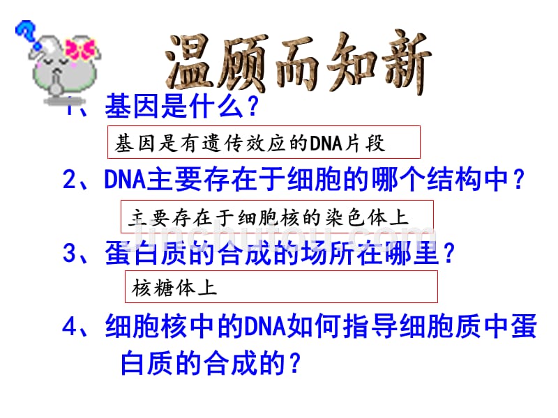 人教版高中生物必修二：4.1《基因指导蛋白质的合成》课件（共2课时）_第2页