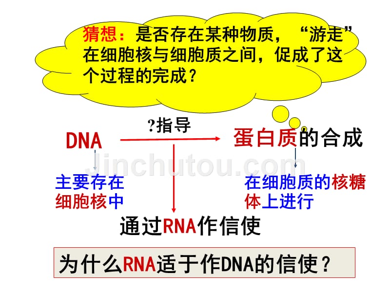 人教版高中生物必修二：4.1《基因指导蛋白质的合成》课件（共2课时）_第3页