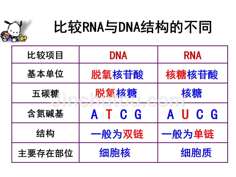 人教版高中生物必修二：4.1《基因指导蛋白质的合成》课件（共2课时）_第4页