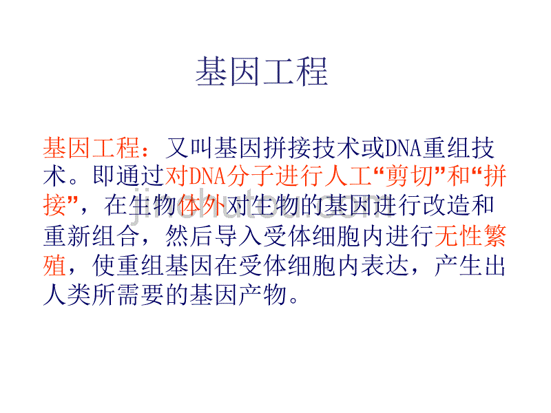 2017高中生物第二册第6章遗传住处的传递和表达6.3基因工程与转基因生物课件1沪科版20170822227_第5页