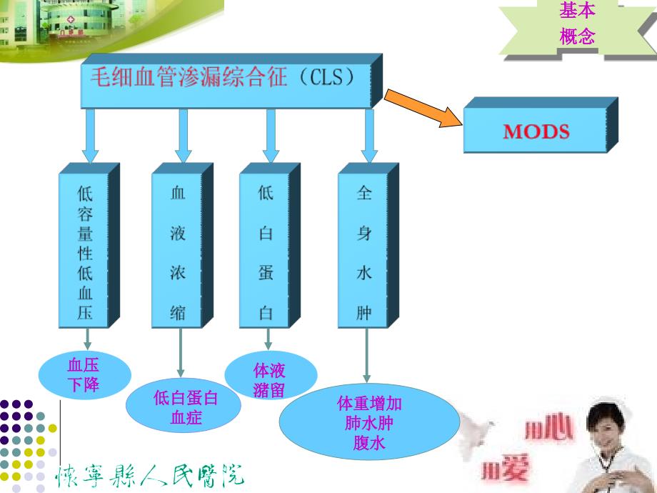 毛细血管渗漏综合征幻灯片_第3页